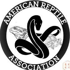 Reptiles dor sale in usa